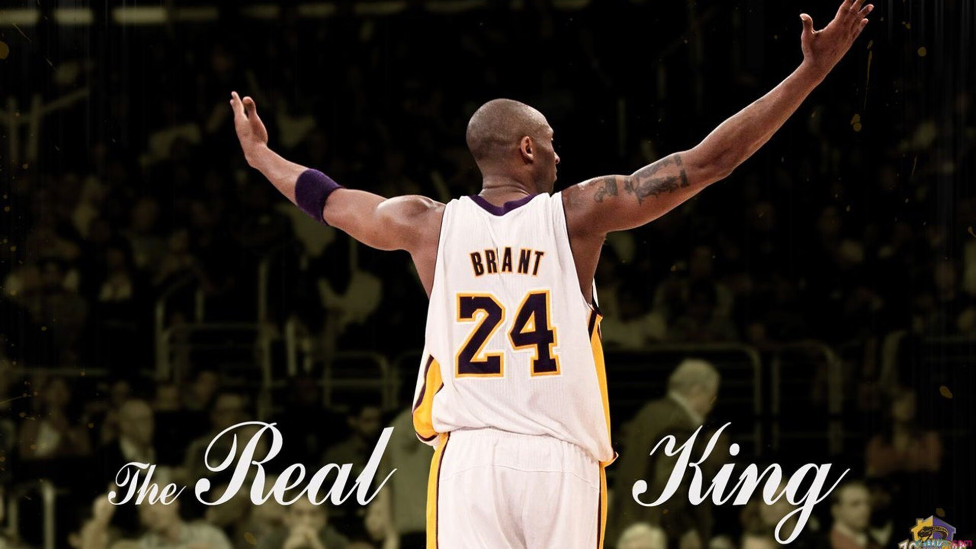 全球体育赛事数量持续增长